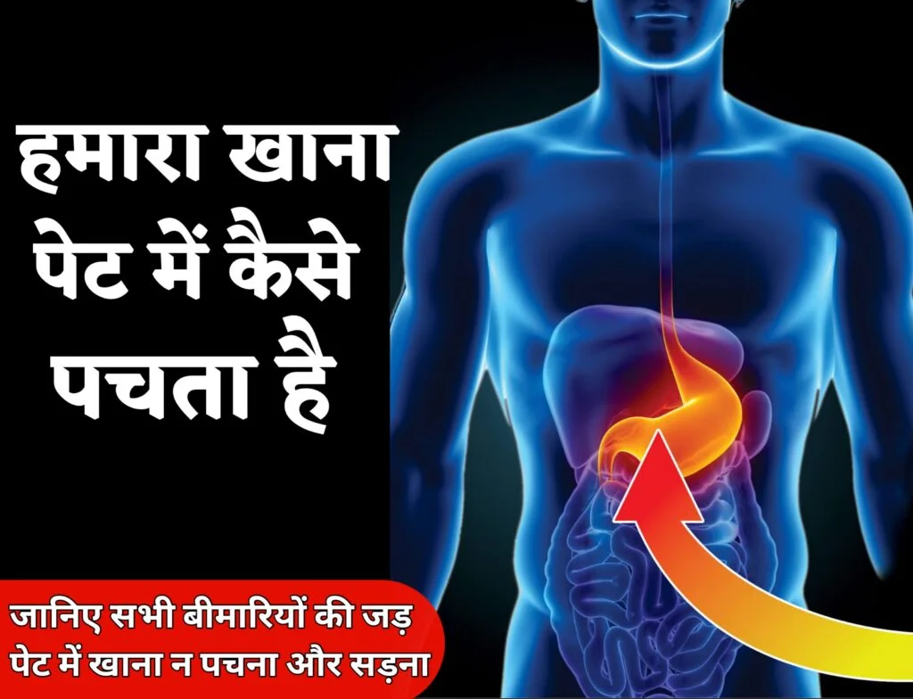 खाना खाकर तुरंत सो जाने से क्या होता है?