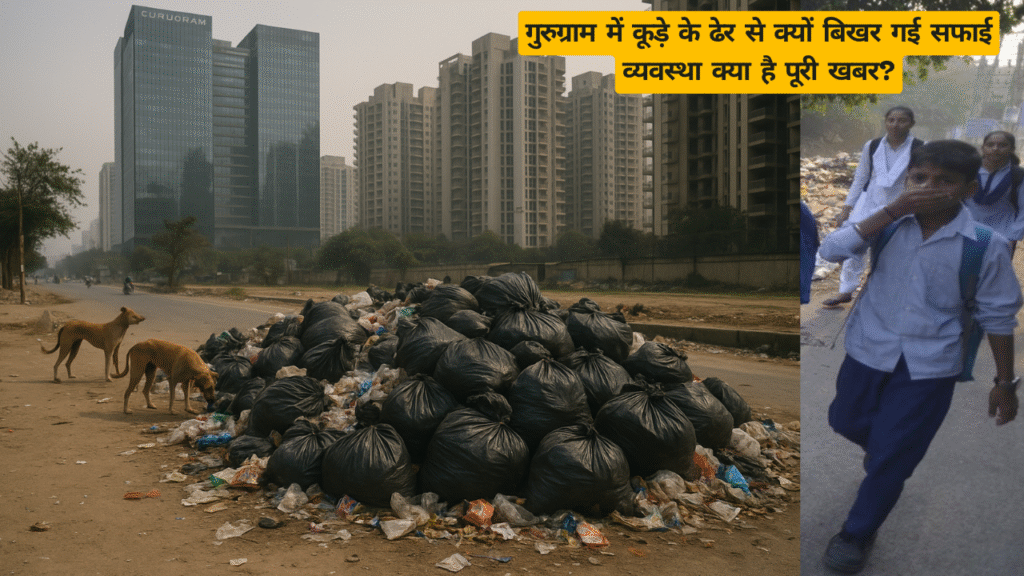 गुरुग्राम में कूड़े के ढेर