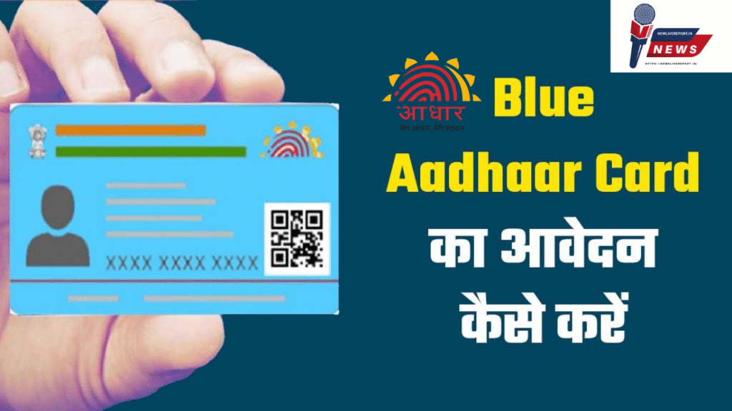 Blue Aadhaar Card